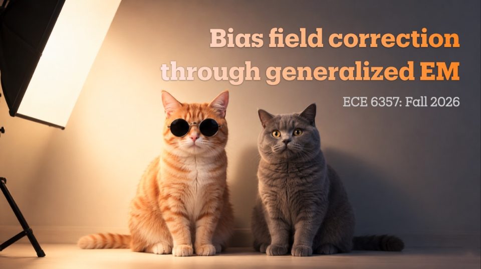 Bias field correction title slide: the two cats sitting under a studio light.